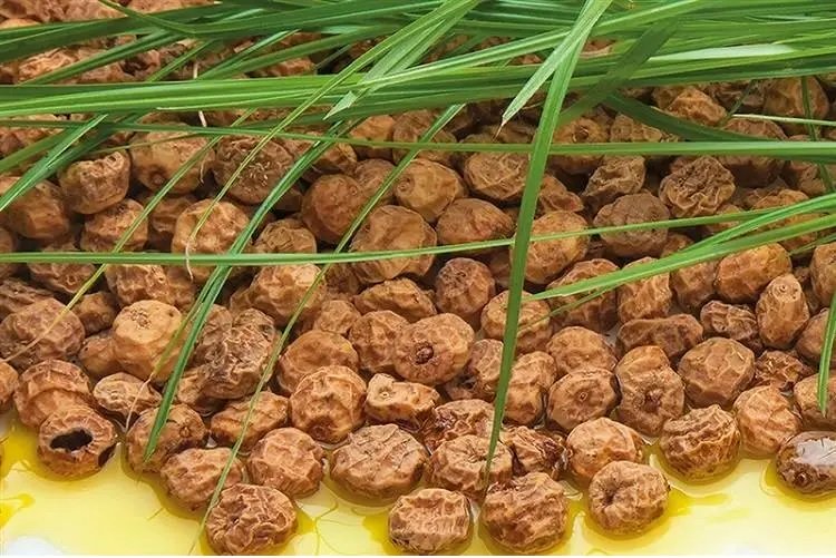 Tigernut 2